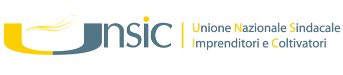 Unsic